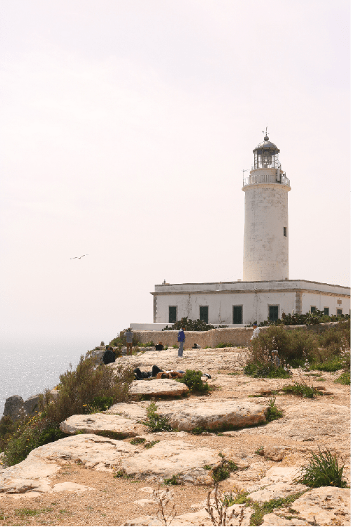 THE ISLAND